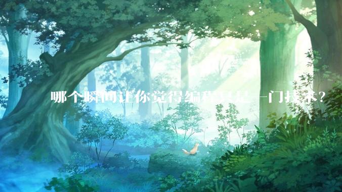 哪个瞬间让你觉得编程只是一门技术？