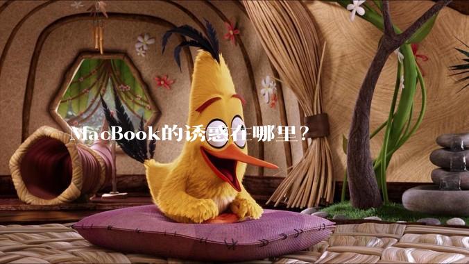 MacBook的诱惑在哪里？
