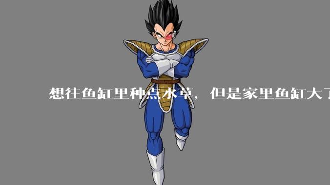 想往鱼缸里种点水草，但是家里鱼缸大了买水草泥或者底砂太贵了，有没有生活中可以替代的物品或其他建议？