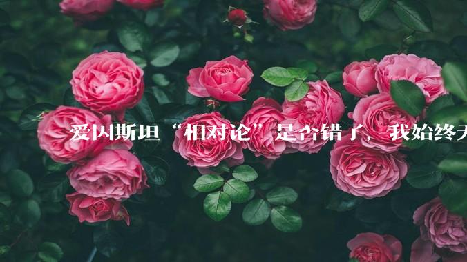 爱因斯坦“相对论”是否错了，我始终无法理解为什么物体达到光速时间就会停止？