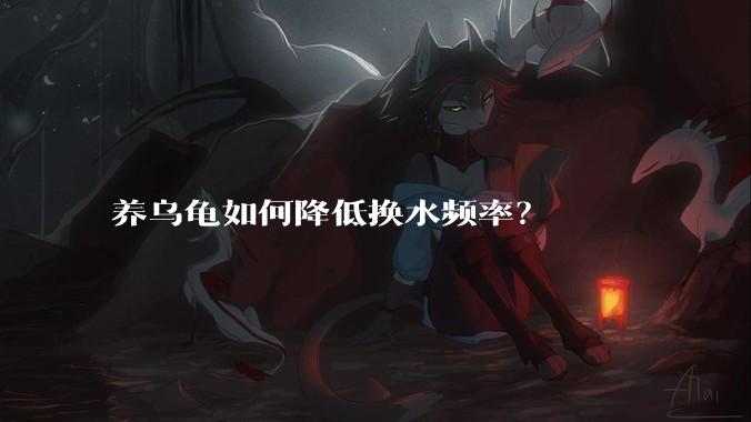 养乌龟如何降低换水频率？