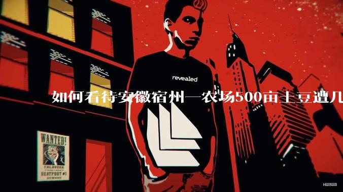 如何看待安徽宿州一农场500亩土豆遭几百名村民哄抢，曝光后民警要求种植户删帖？法不责众？如何有效维权？