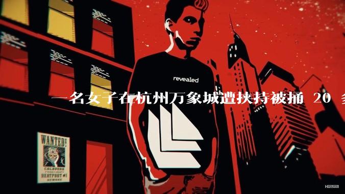 一名女子在杭州万象城遭挟持被捅 20 多刀，隆胸***体救了一命，这反映出哪些公安系统的问题？