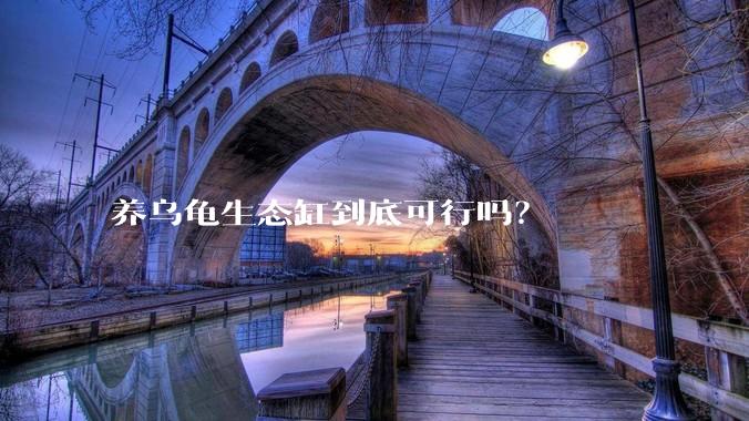 养乌龟生态缸到底可行吗？