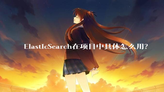 ElasticSearch在项目中具体怎么用？