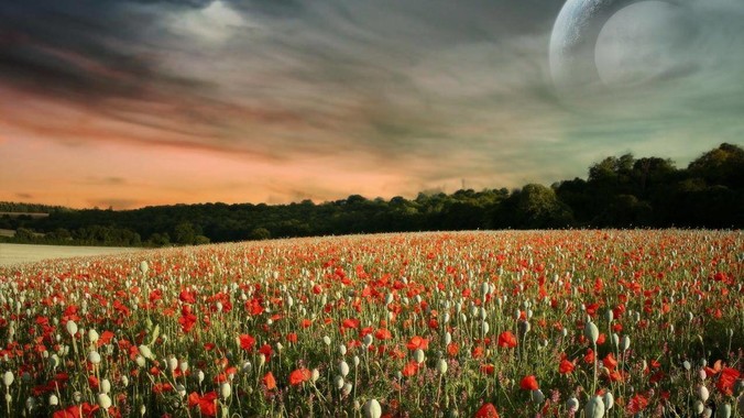 公司就一个后端一个前端，有必要搞微服务吗？